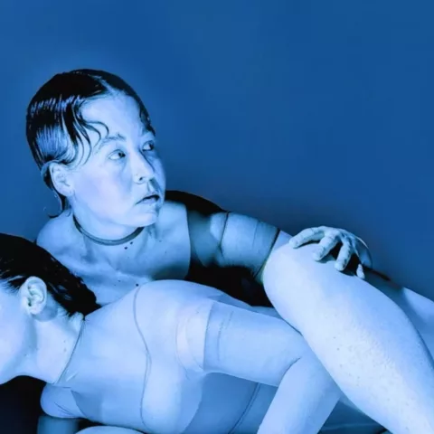 No Plexus by Philine van den Hul 1 Large