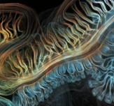 CPH brain image consciousness abstract 9604e5a7 7c78 491d a8a2 4542c51aecc0