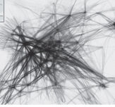 Guardian 01 Carbon Overhead