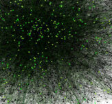 The Simplicity of Complexity