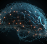 Before we forget robins choice