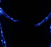 Biosemiotics robins choice