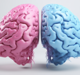 Brain gender robins choice