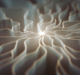 Consciousness robins choice