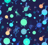 Evolution withinus robins choice