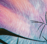 Hallucinations robins choice