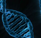 Image from rawpixel id 3338043 original 1756x742