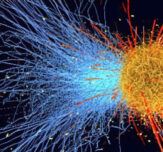 La Compre robins choice