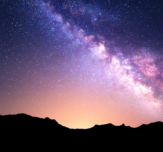 Lifeblocks robins choice