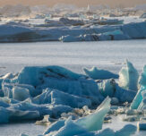 Melting ice robins choice