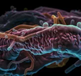 Scienceandcocktails bacteria in the gut ci fi 4 K 1f195ed2 bb44 4d97 a414 82e0a8b34219 1