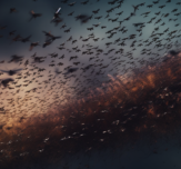 Scienceandcocktails intelligence flocking swarms collective beh 0f3d966a f87c 48c8 846e 2ec6d568ea62