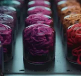 Scienceandcocktails liquid brains brains filled with liquids sc 2be2a4cd cfd9 4d5b 80b0 1fd948c17955 2