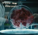 Scienceandcocktails man creating aritificial meat in a Petri di 35223160 6277 4bb7 9ad5 5312587bdb83 copy