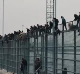 Scienceandcocktails many people trying to climb a tall fence ne c4ad9ffd 3271 4f85 9620 1b91ee0a4afd 1