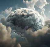 Scienceandcocktails memory in brain as if a cloud in the sky fa 762ff3d5 b53f 423c 8fa8 8bcd92a7dc6f