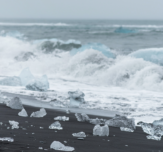 State of climate robins choice