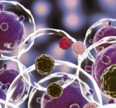 Stem cells robins choice