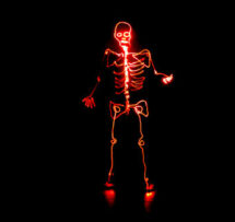 Bones