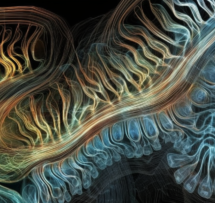 CPH brain image consciousness abstract 9604e5a7 7c78 491d a8a2 4542c51aecc0