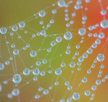 Droplets1