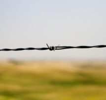 Fence