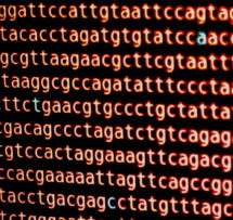 Genome