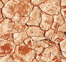 Namib