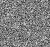 Random Bitmap