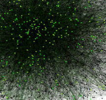 The Simplicity of Complexity