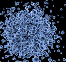 The power of marine viruses