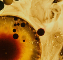 Unseeable Biology