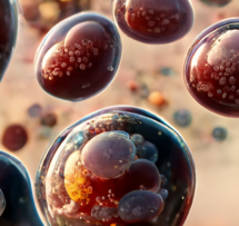 Cells 1600x740