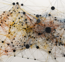 Complex networks robins choice