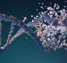 Dna genes