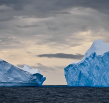 Iceberg cores robins choice