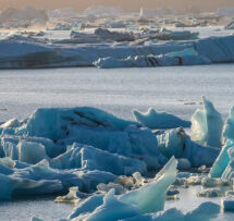 Melting ice robins choice