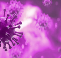 Virus2