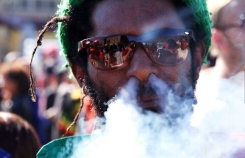 Cannabis