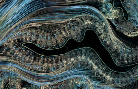 Consciousness