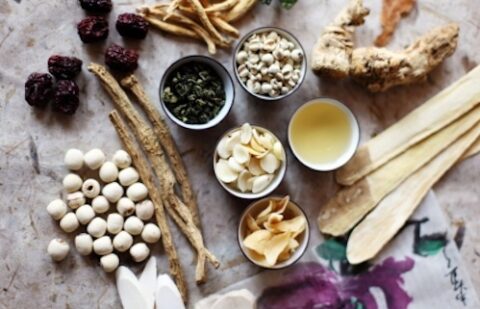Ethnopharmacology