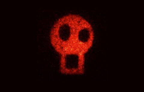 Ghost Imaging