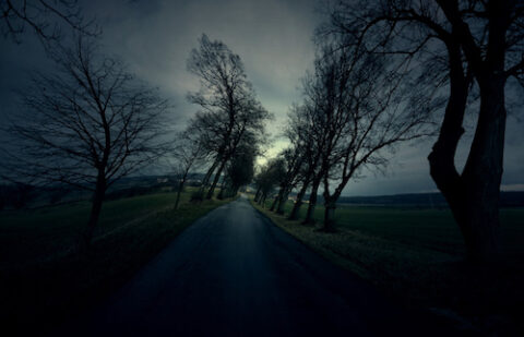 Hallucinations