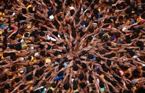 Humans