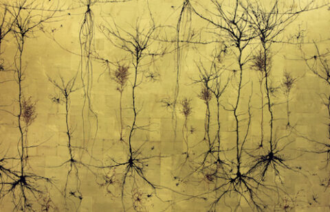 Neuro Visual