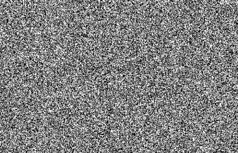 Random Bitmap
