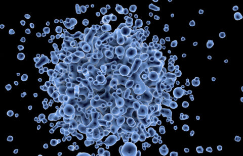The power of marine viruses