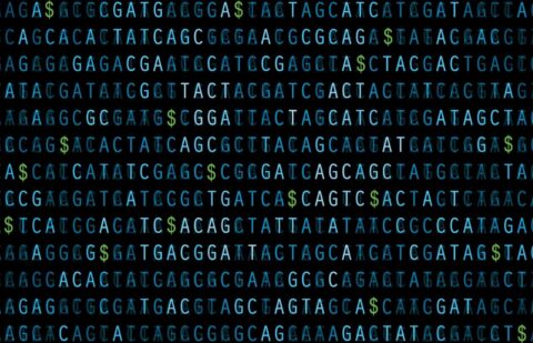 Moneygene