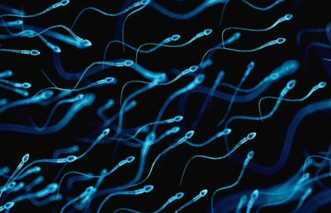 Spermcount