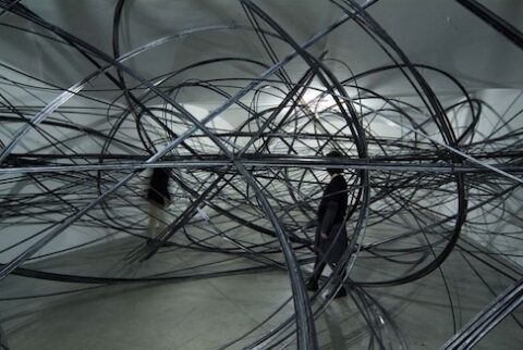 Complex Networks